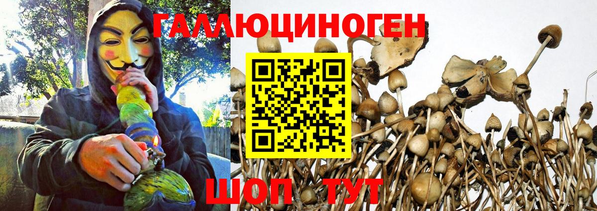 Псилоцибиновые грибы MAGIC MUSHROOMS  Вход с VPN  Таганрог 